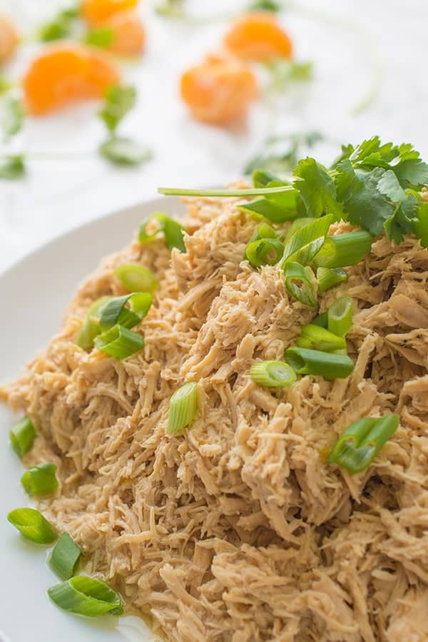 Easy fast chicken crock pot recipes Easy fast chicken crock pot recipes