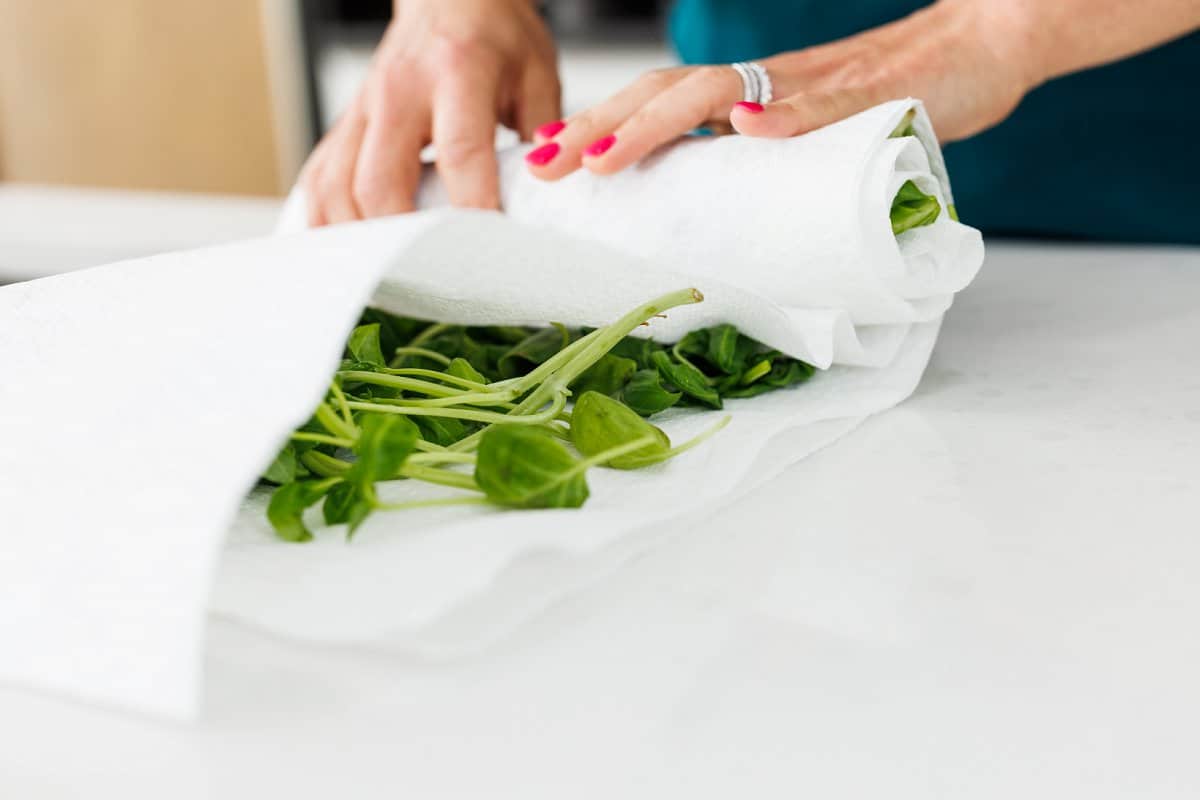 Drying basil