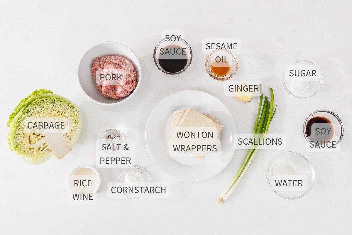 Labeled ingredients for steamed pork dumplings on a white counter.