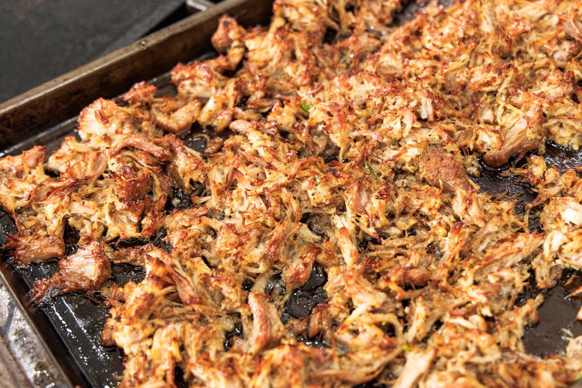 Shredded pork carnitas on a baking sheet, somewhat crispy from the oven.